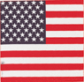 1133 - U.S. Flag Bandanna