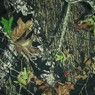 2163 - Mossy Oak® Camouflage Bandanna